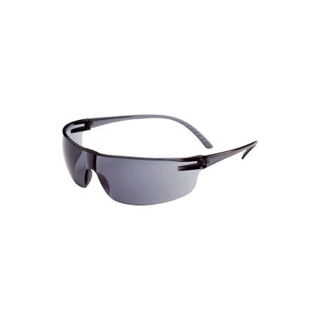 Honeywell North Safety Glasses, Gray Lens, Frameless, 10 PK SVP202